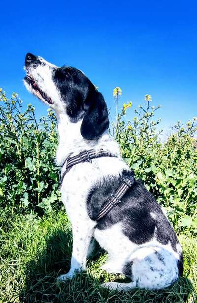 Blick fürs Detail!-Beitrag-Bild