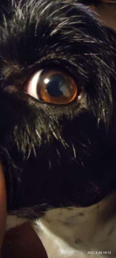 Blick fürs Detail!-Beitrag-Bild