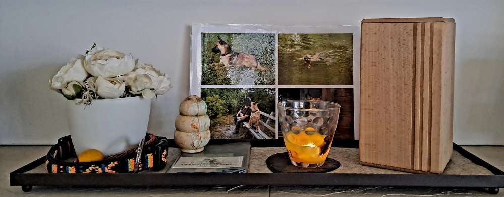 Urne von verstorbenen Haustieren !-Beitrag-Bild