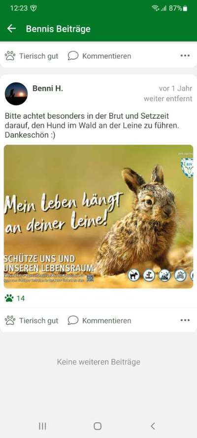 Ohne Halsband, ohne Geschirr-Beitrag-Bild