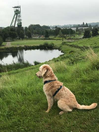 Fotochallenge Nr 107-Beitrag-Bild