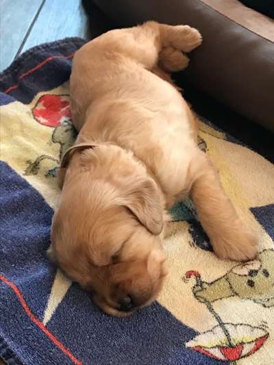 Erstes Bild-Beitrag-Bild