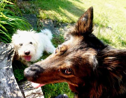 Handyfoto challenge Nr. 13: Waschlappen raus!-Beitrag-Bild