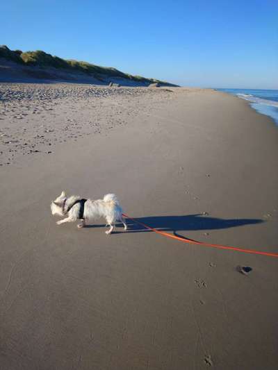 Fotochallenge Nr.100 Urlaubsimpressionen-Beitrag-Bild