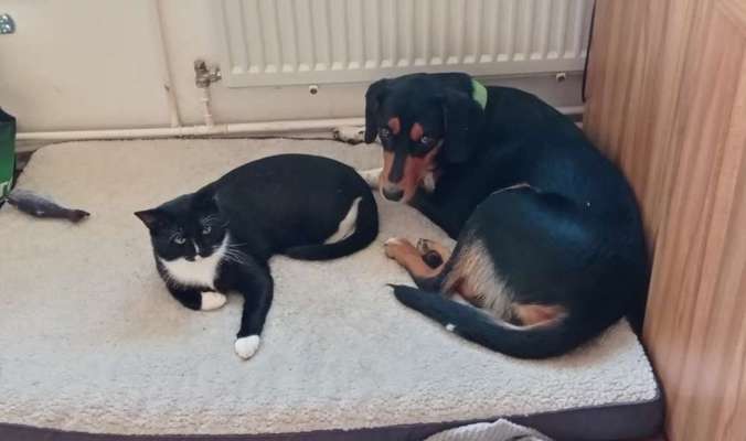 Moviestar-Pics!-Beitrag-Bild