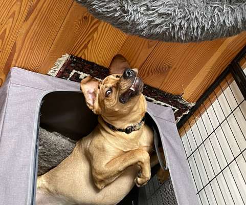 Her mit dem Grimassen-Beitrag-Bild