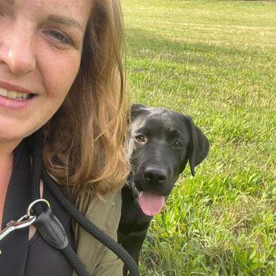 Hundetreffen-Hundewiese-Profilbild