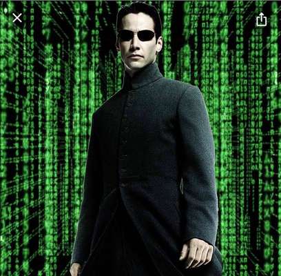 Wie heißt dein Hund?-Beitrag-Bild