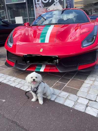 Zeige deinen Schatz mit seinem Lieblingsspielzeug.-Beitrag-Bild