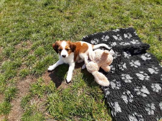 Das erste Foto-Beitrag-Bild