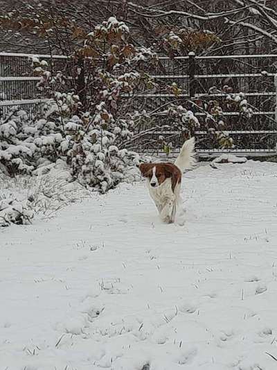 Fotochallenge 61 ~ Schnee-Beitrag-Bild