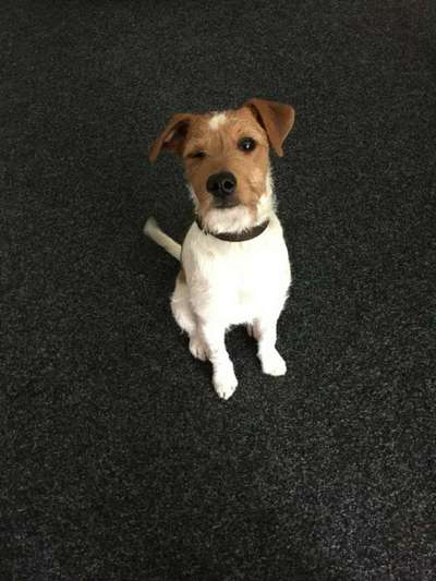 Fotochallange Nr. 6 Die irrsten Blicke-Beitrag-Bild