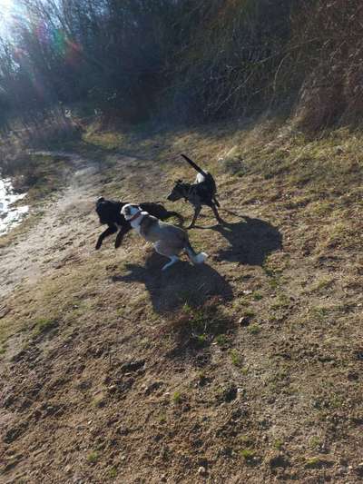 Fotochallenge 69-Beitrag-Bild