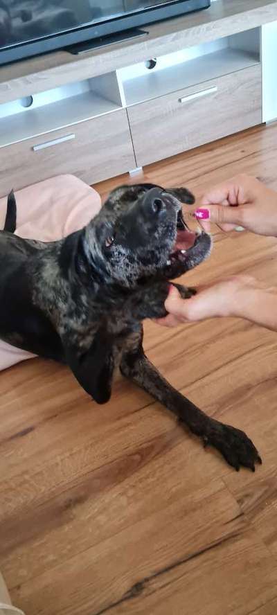 Lieblingsbild-Beitrag-Bild