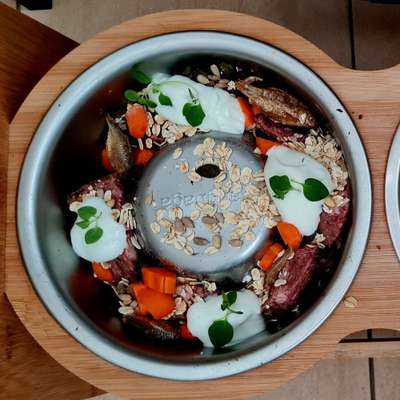 Zeigt her Eure Futternäpfe-Beitrag-Bild