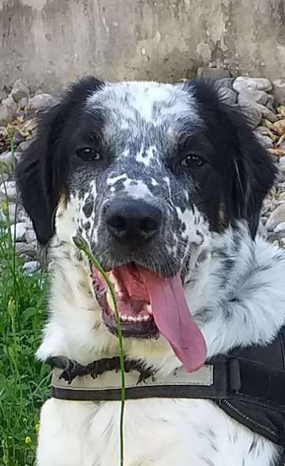 Zeigt eure Portraits-Beitrag-Bild