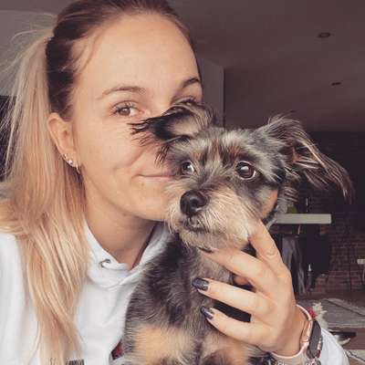 Hundetreffen-Entspannt spazieren gehen