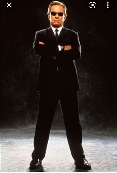 Wie heißt dein Hund?-Beitrag-Bild