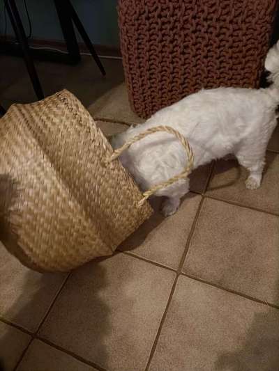 121. Fotochallenge-Beitrag-Bild