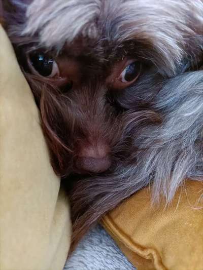 Ratespaß geht weiter-Beitrag-Bild