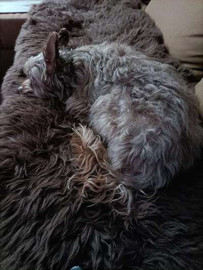 Ton in Ton-Beitrag-Bild