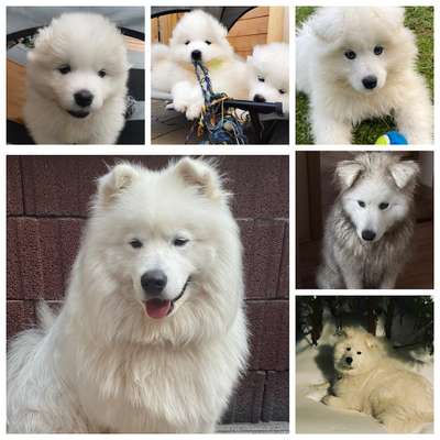 Vorher.... Nachher-Beitrag-Bild