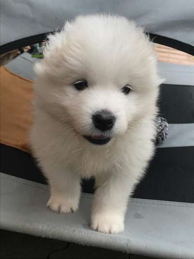 Erstes Bild-Beitrag-Bild