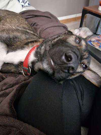 Handy-Foto Challange Nr. 10-Beitrag-Bild