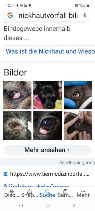 Entündung am Auge? Oder nur eine Reizung?-Beitrag-Bild