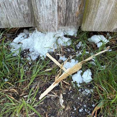 Giftköder-Giftköder-Bild