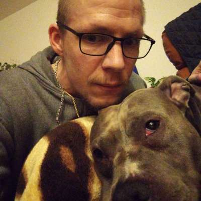 Hundetreffen-Einfach Mal treffen und beschnuppern lassen ob es passt