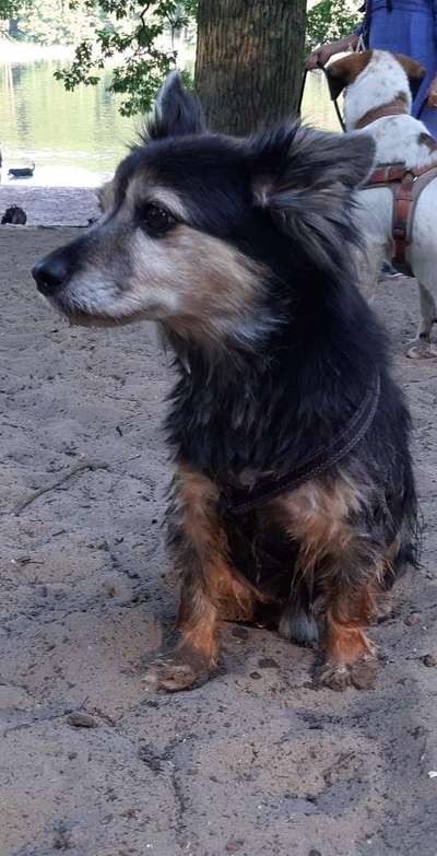 Die graue Eminenz-Beitrag-Bild