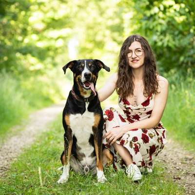 Hundetreffen-Gassikumpel/Spielkumpel gesucht-Bild