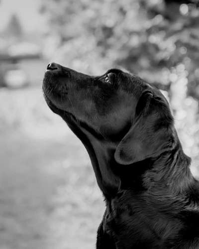 Lieblingsbild-Beitrag-Bild