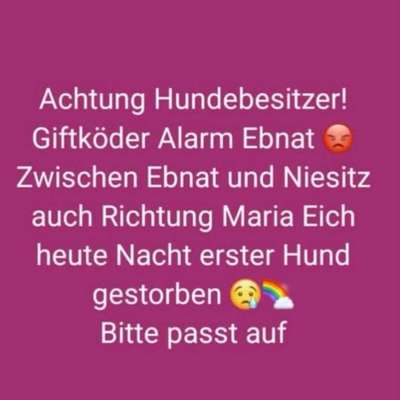 Giftköder-Giftköder-Bild