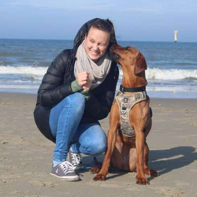 Hundetreffen-Ridgeback Freunde