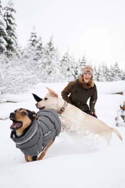 Die lustigsten Selfies mit Deinem Hund !-Beitrag-Bild