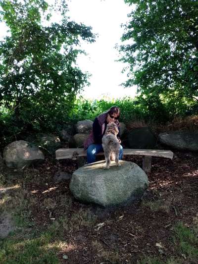 Fotochallenge 108: Starkes Team-Beitrag-Bild