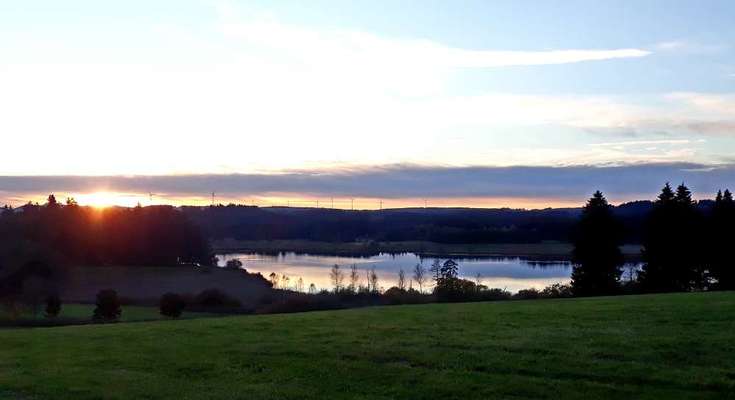 Hundeauslaufgebiet-Elbsee-Bild