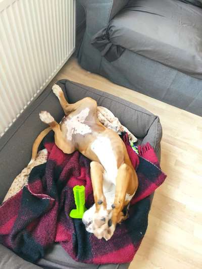 LUSTIGE FOTOS! WER KANN MITHALTEN?-Beitrag-Bild