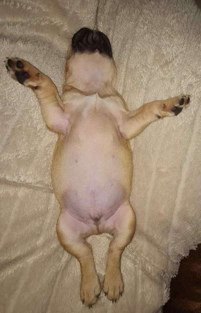 Fotochallenge Nr.65-Beitrag-Bild