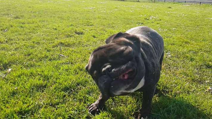 Fotochallange 84-Beitrag-Bild