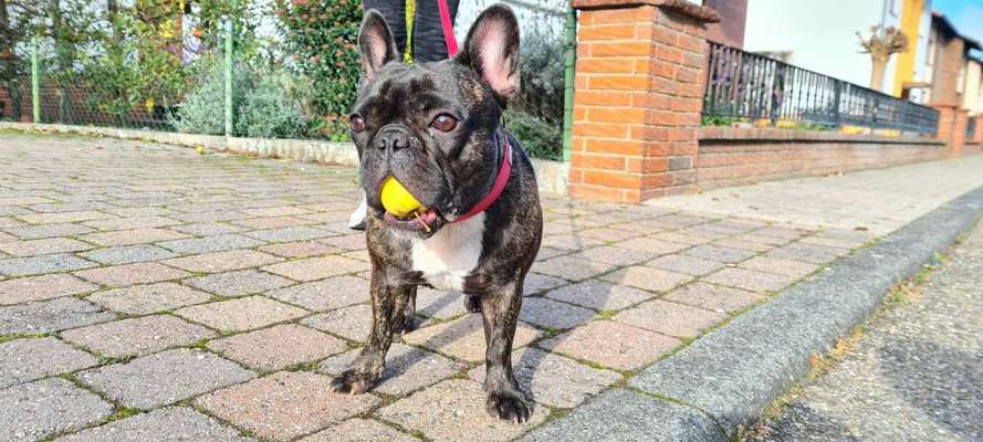 Fotochallenge Nr. 64-Beitrag-Bild