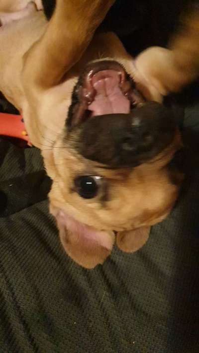 Hier ist der Spaßthread. Zum Schmunzeln und Kaputtlachen-Beitrag-Bild