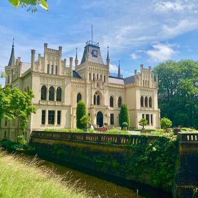 Titelbild Gruppe Fellnasen in Leer ( Ostfriesland )