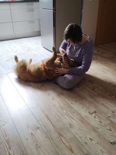 TierschutzhundeStammtisch🐕-Beitrag-Bild