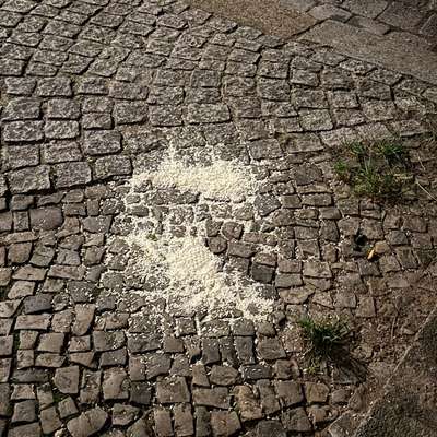 Giftköder-Weißes Pulver-Bild