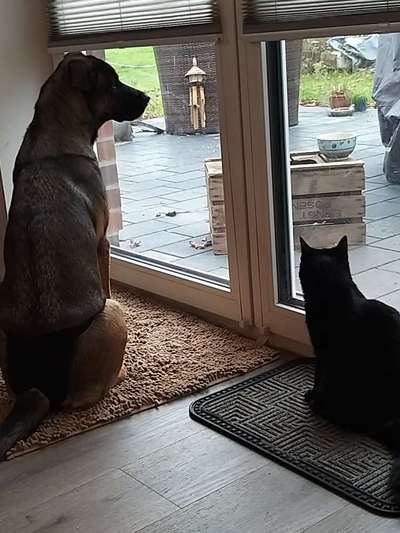 Lieblingsbild :D-Beitrag-Bild