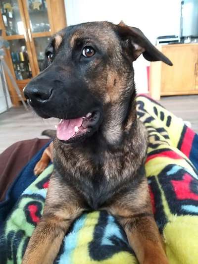 Lieblingsbild :D-Beitrag-Bild