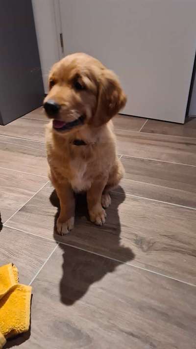 Erstes Bild-Beitrag-Bild